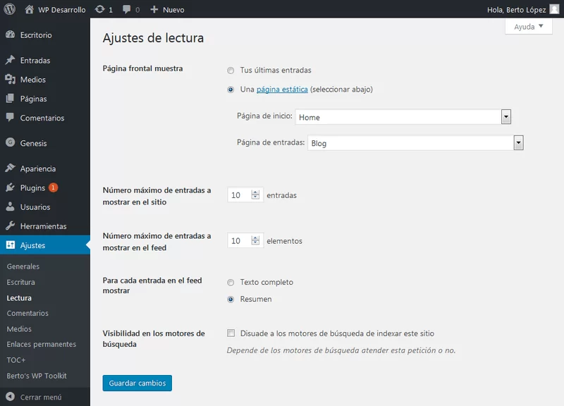 captura ajustes lectura wordpress