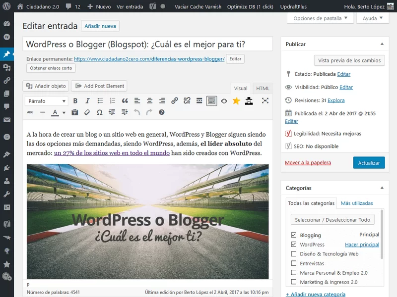 editor visual wordpress