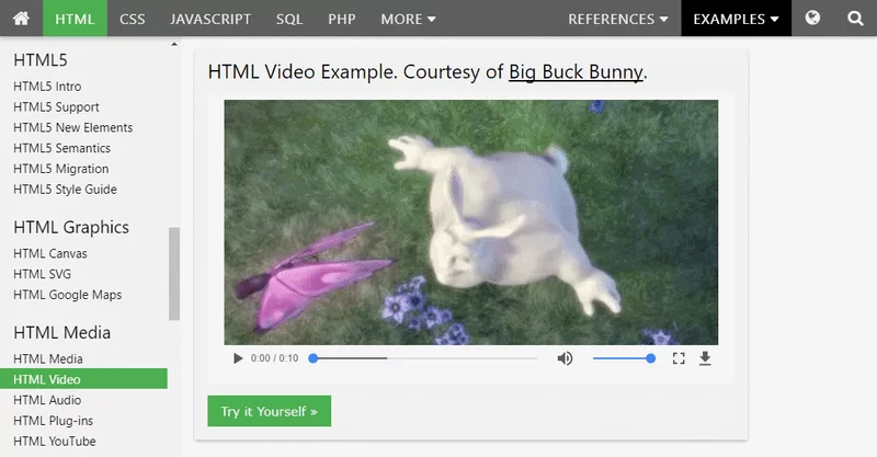 captura video html5