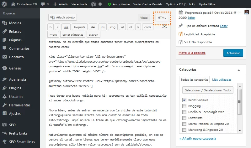 editor html wordpress