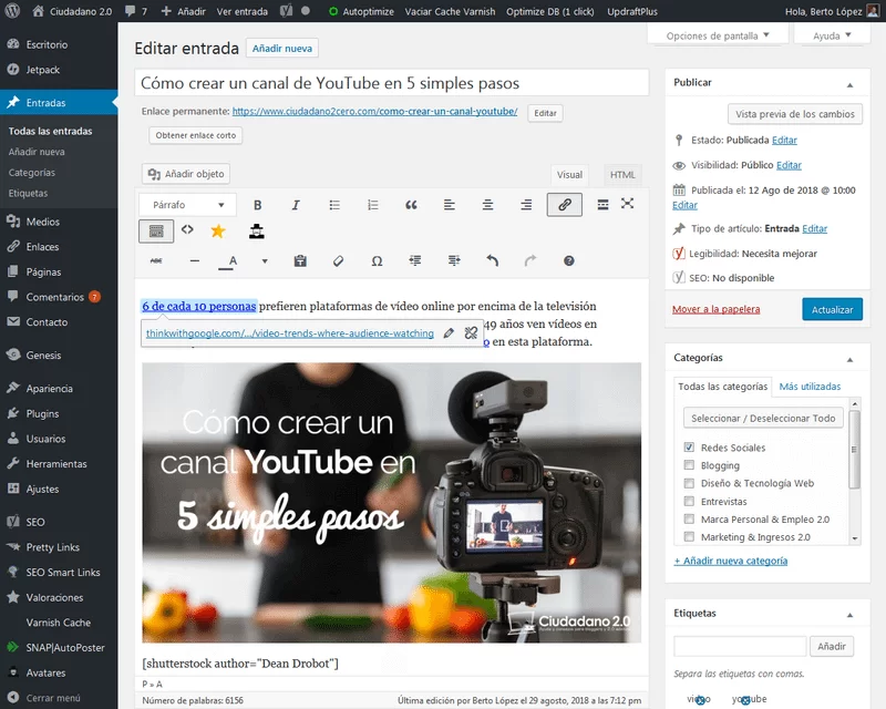 editor visual wordpress