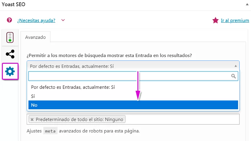 poner paginas noindex yoast