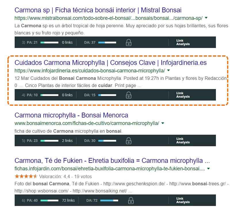 ejemplo bonsai carmona mozbar facil