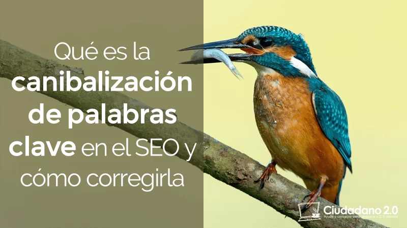 canibalizacion palabras clave seo