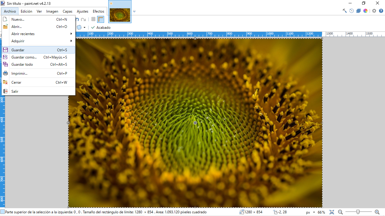 guardar paint webp