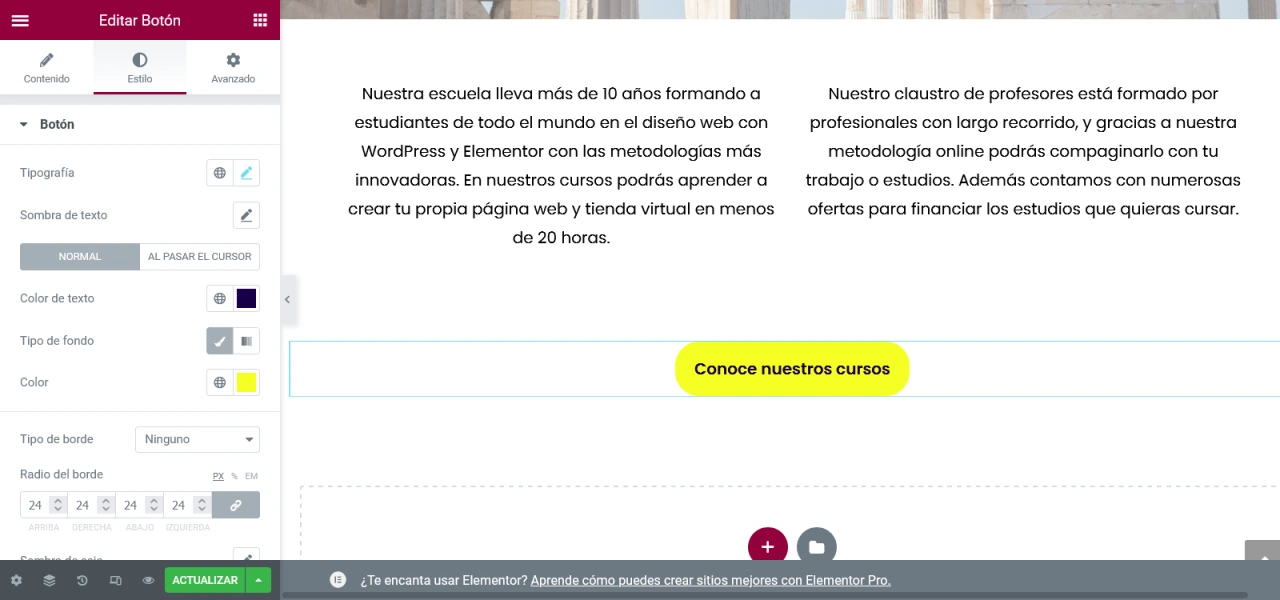 edicion elemento elementor