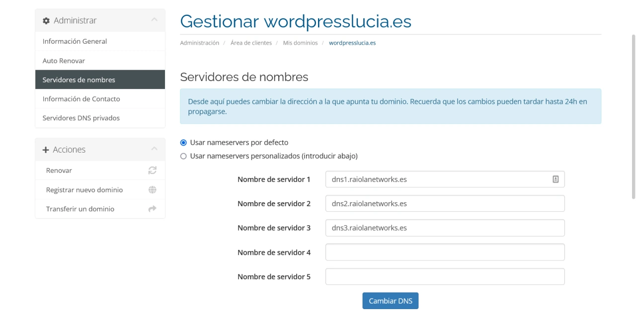 gestion dns