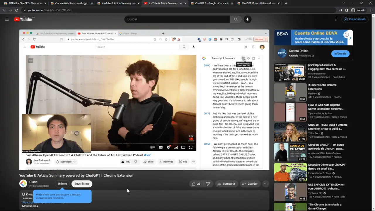 ejemplo youtube summary